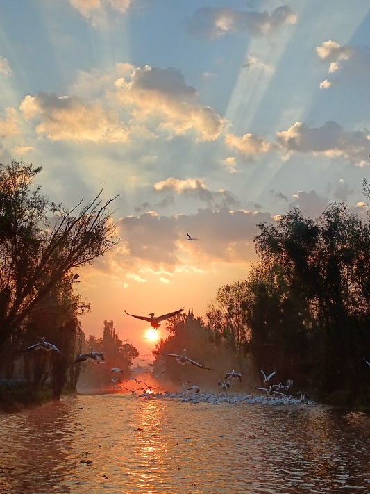 Amanecer en Fuego Vivo